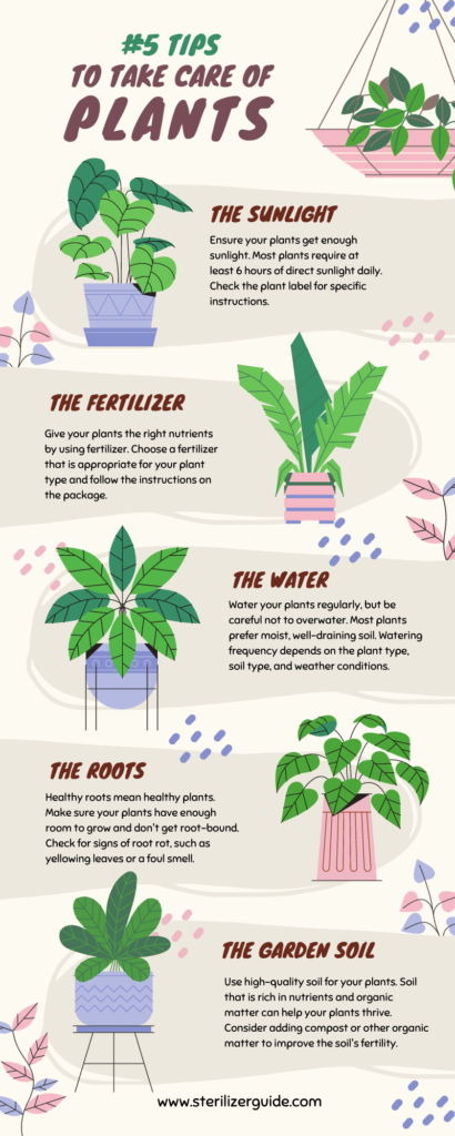 5 tips for taking care of plants