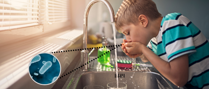Common Contaminants in Tap Water