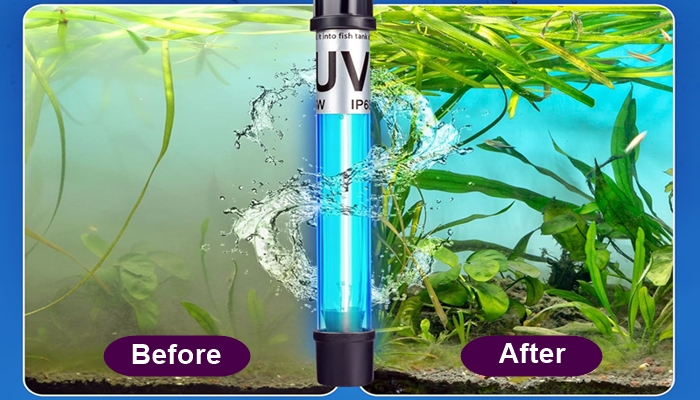 Misconceptions about UV sterilizers and algae control