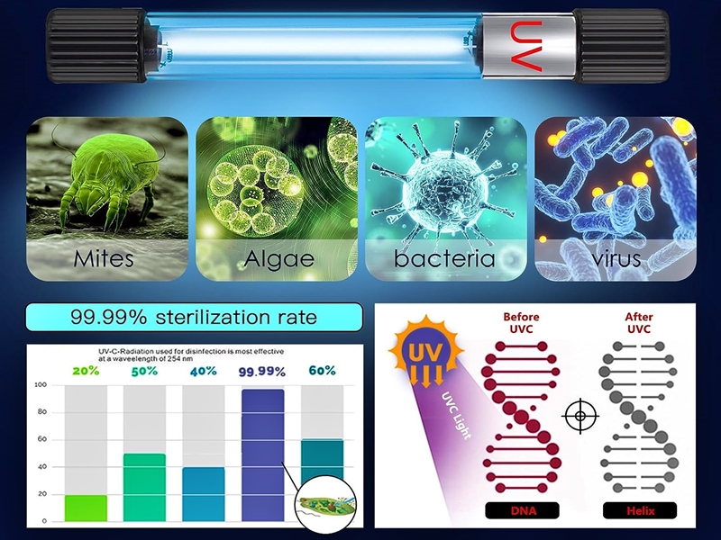 Does UV Sterilizer Kill Algae?